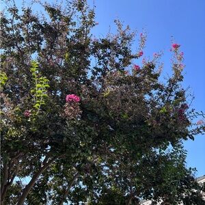 Meet your Posher, Jennyfer